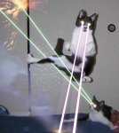 LaserCat-1.jpg