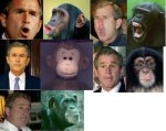 Bush n Affen.jpg