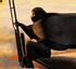 Avatar von Lennart