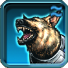 Avatar von conquestor