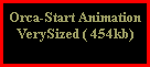 Orca-Start Animation
VerySized ( 454kb)