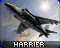 harrier Harrier