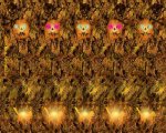 pumpkin.jpg