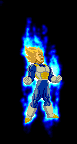9990000000194083-21.gif.gif