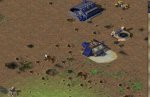 mad win.jpg