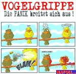 vogelgrippe.jpg