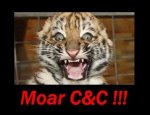 Moar C&C !!!.jpg