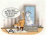 katzen.jpg