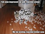 teh-new-impruved-cat-wih-reactive-armor-me-be-testing-reactive-armor-now.jpg
