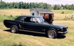 ford%20mustang%20no1.jpg