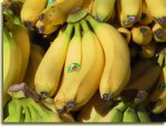 bannanen.jpg