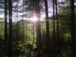 DSC00564.jpg