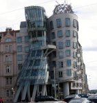 wasdes10.jpg
