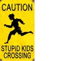 stupid.JPG