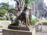800px-Hachiko200505-4.jpg