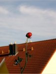 sommer.jpg