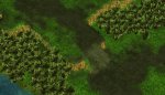 Terrain 001.jpg