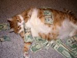 moneycat.jpg