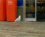 21n2i9t.gif
