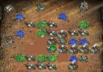 basis lordreo.JPG
