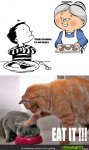 Cat-Ownage1.jpg