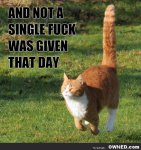 Not-a-Single-Fuck-Was-Given-592x600.jpg