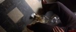 vlcsnap-2014-02-10-22h25m36s88.jpg