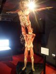 20131026_152244.jpg