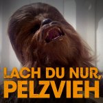 lachDuNur.jpg