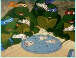 _38040336_turtles.jpg