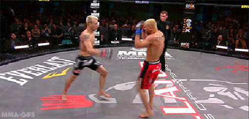 a9cc6d1bd5f5aea2.gif