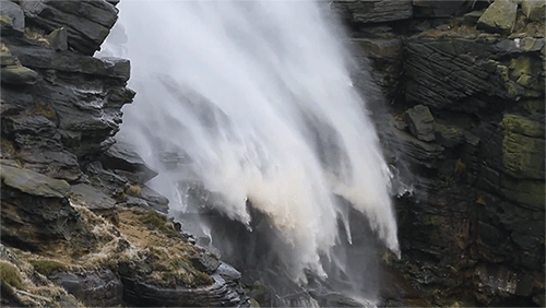 e180565848a1e97f.gif