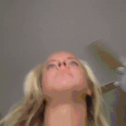 giphy.gif