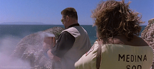 a3bc31b395fc9448.gif