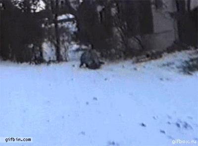30bed6c2f11b511a.gif