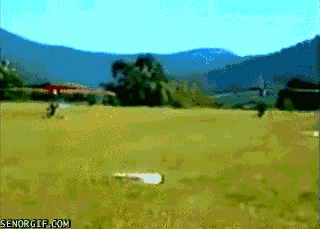 funny-gifs-parachute-deployed-a-bit-too-early.gif