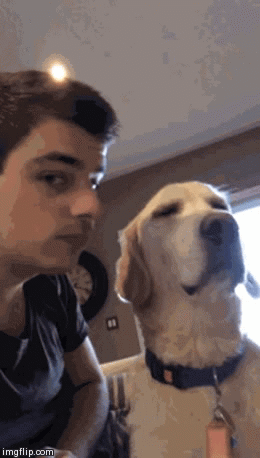bac0ce899bc2dd3e.gif