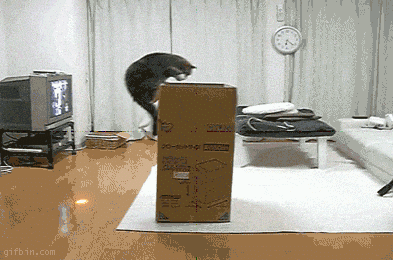 2b76e383a8116710.gif
