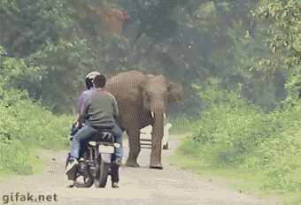 2d2d4727556f4627.gif