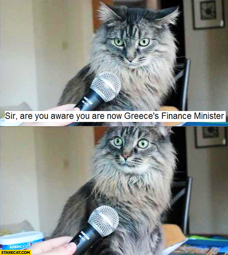 sir-are-you-aware-you-are-now-greeces-finance-minister-cat.jpg