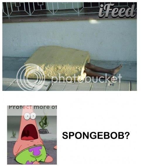 spong.jpg