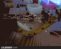 zvgidrg.gif