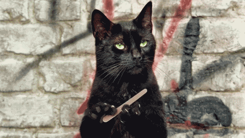 C8f79.gif