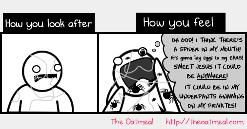 cobwebs2.png