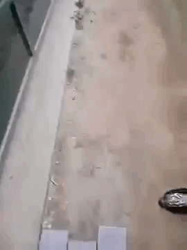 05e6409cb6205842.gif