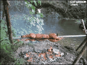 41f85074c18011bd.gif