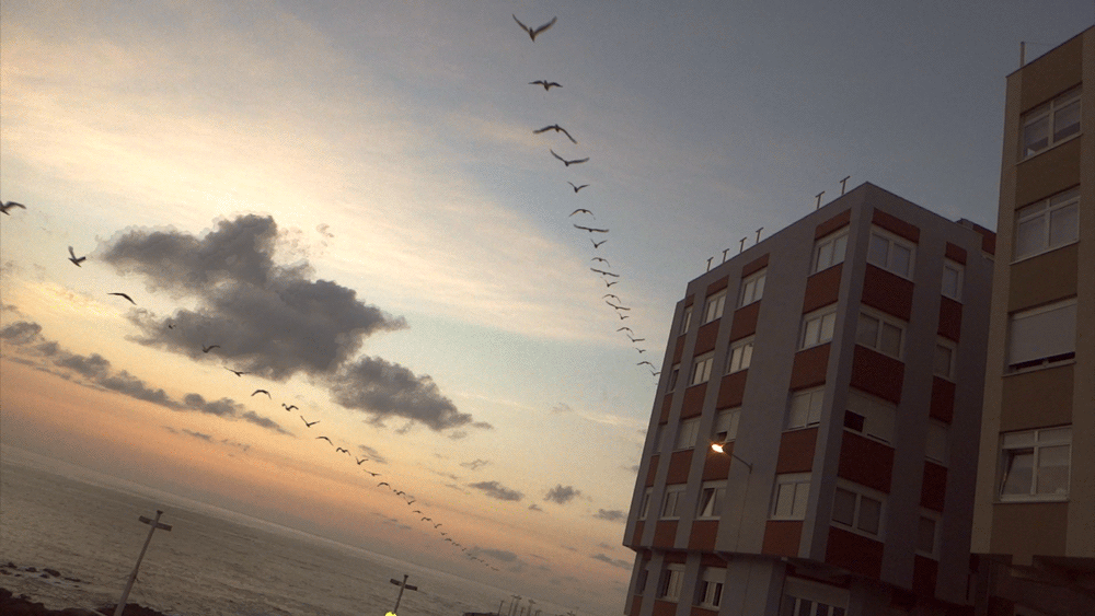 22fe309ea70d986f.gif