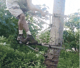 084846932ea5efdd.gif