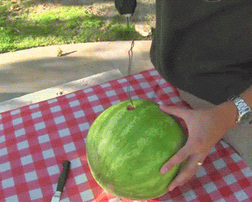 1tbnent5z-gif-pagespeed-ce-0duyoykvtk.gif