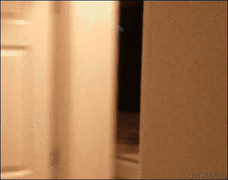 d38ede392a8f1aff.gif